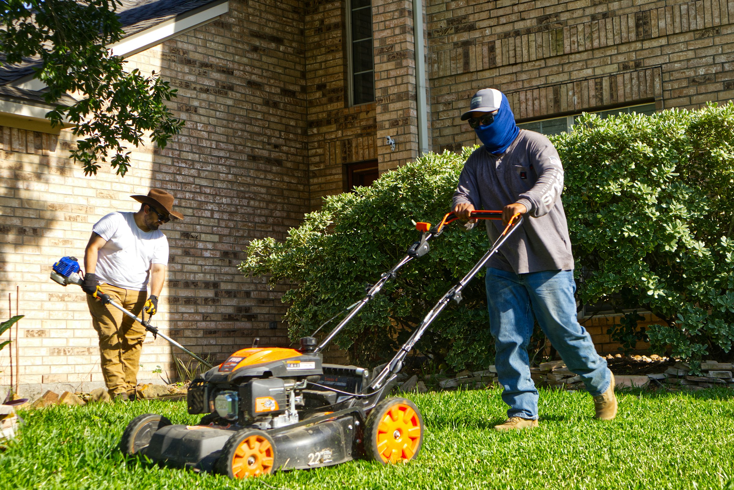 Landscaping